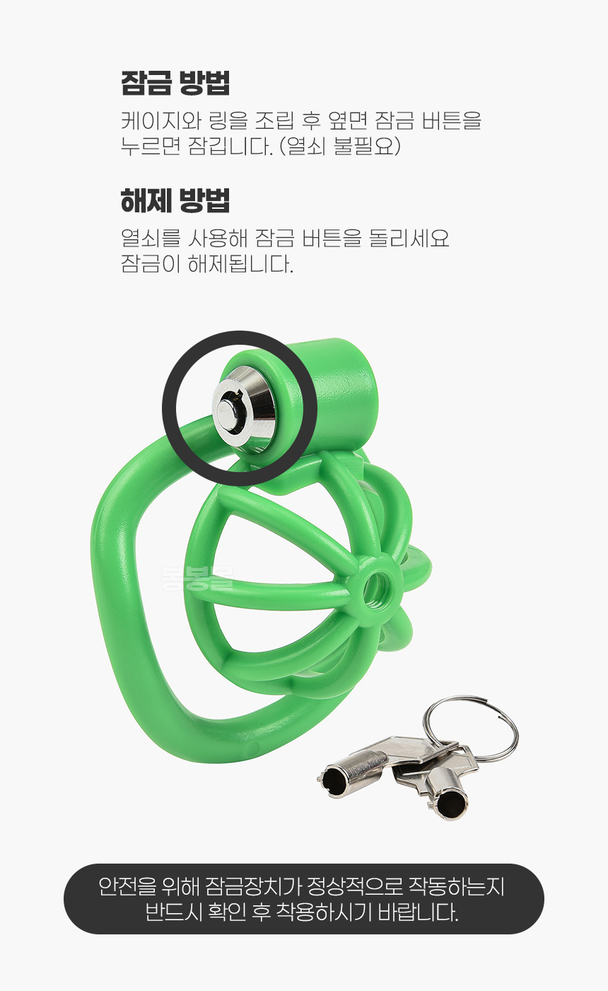 그린 커브링 정조대