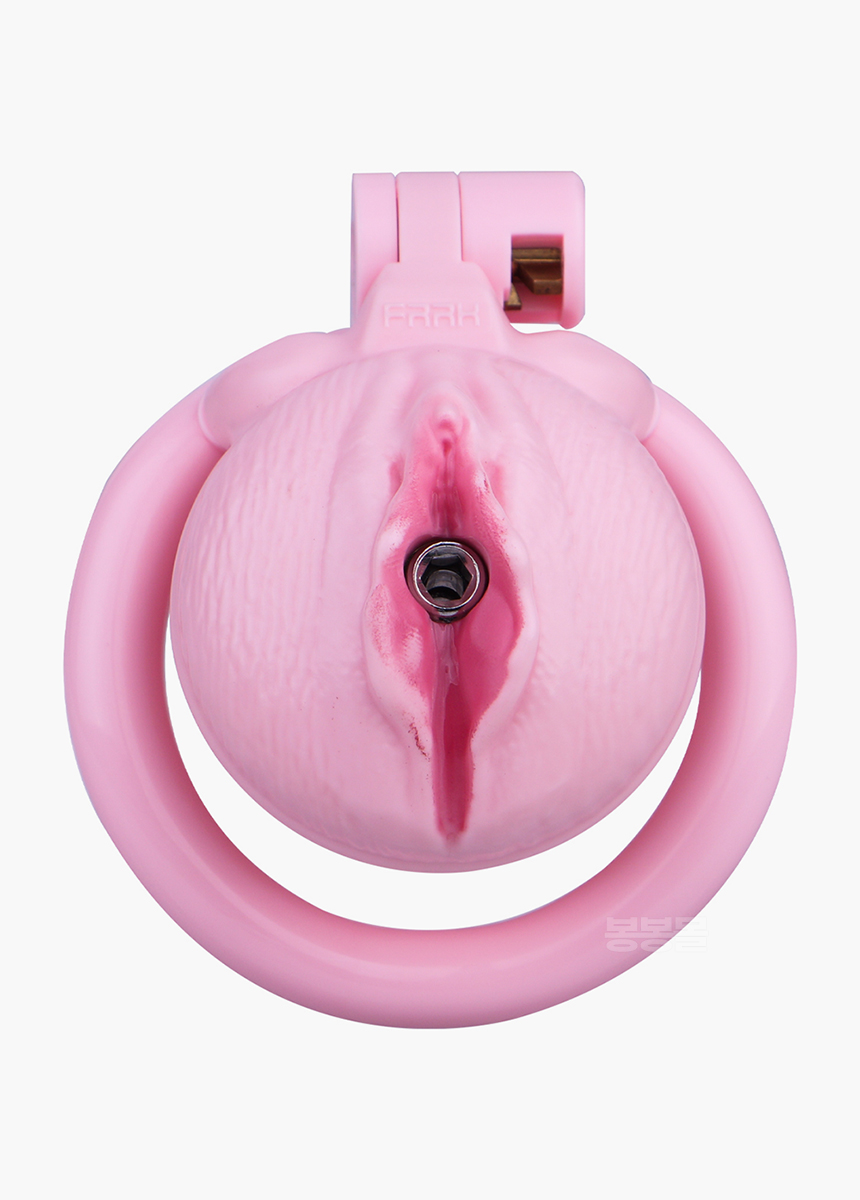 네거티브 푸시 정조대 네거티브 푸시 정조대