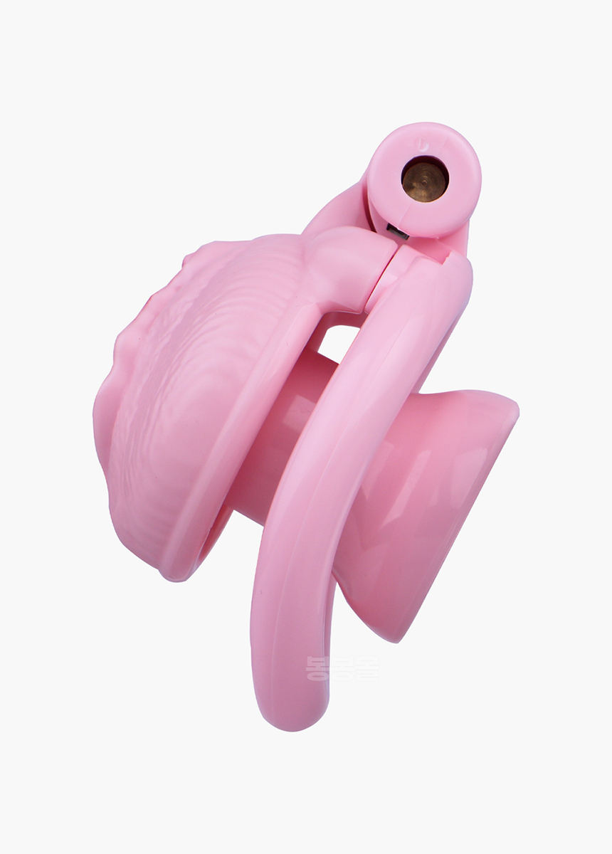 네거티브 푸시 정조대 네거티브 푸시 정조대