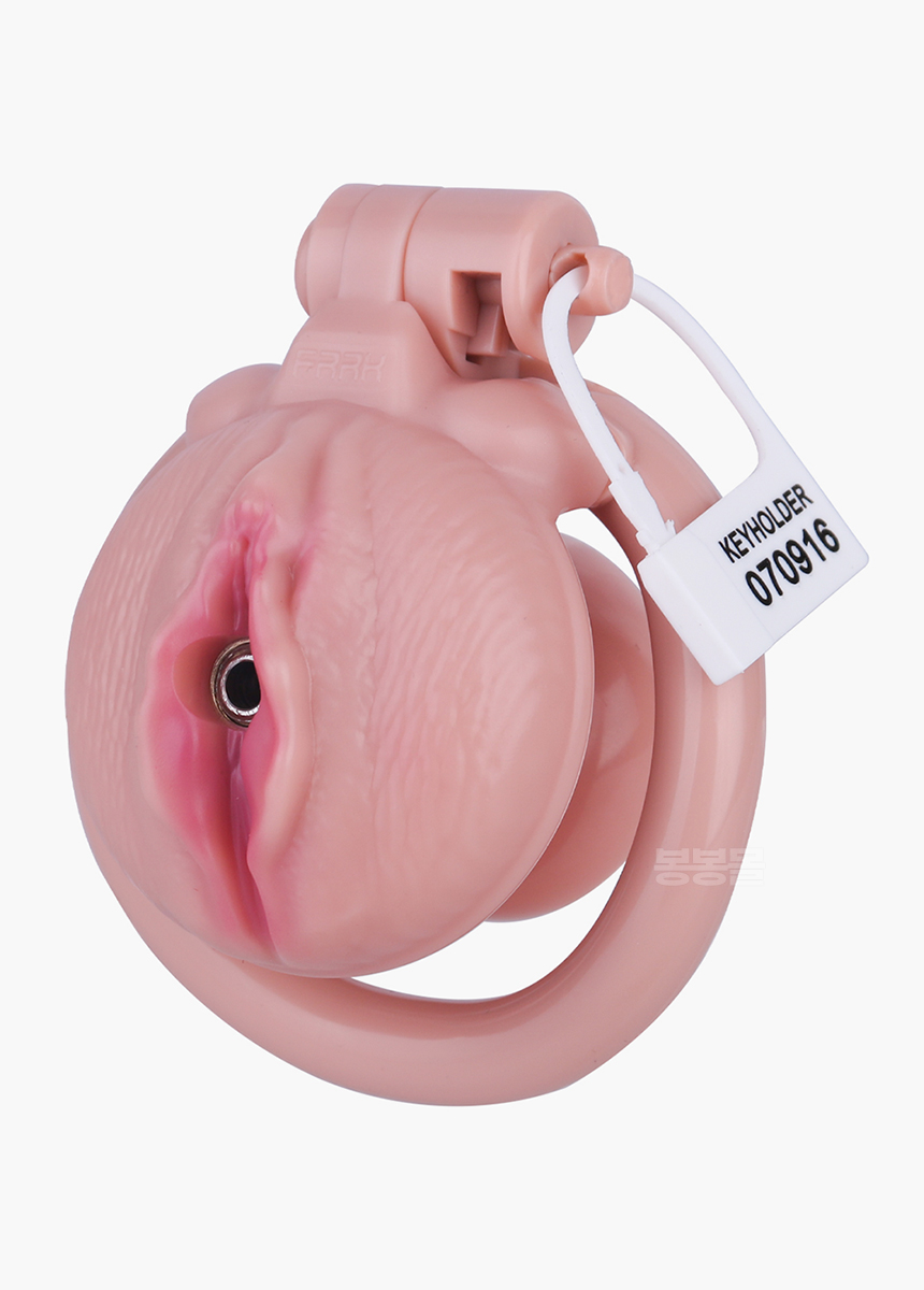 네거티브 푸시 정조대 네거티브 푸시 정조대