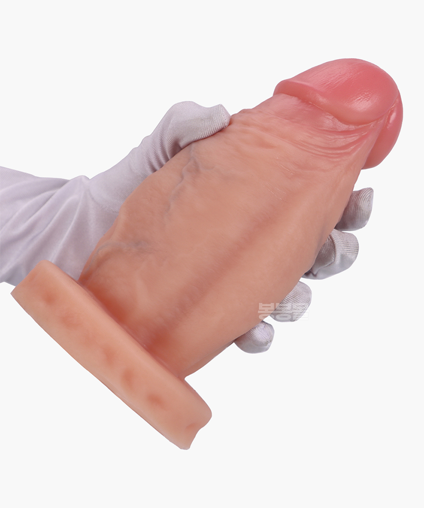 틱 페니스 애널 플러그