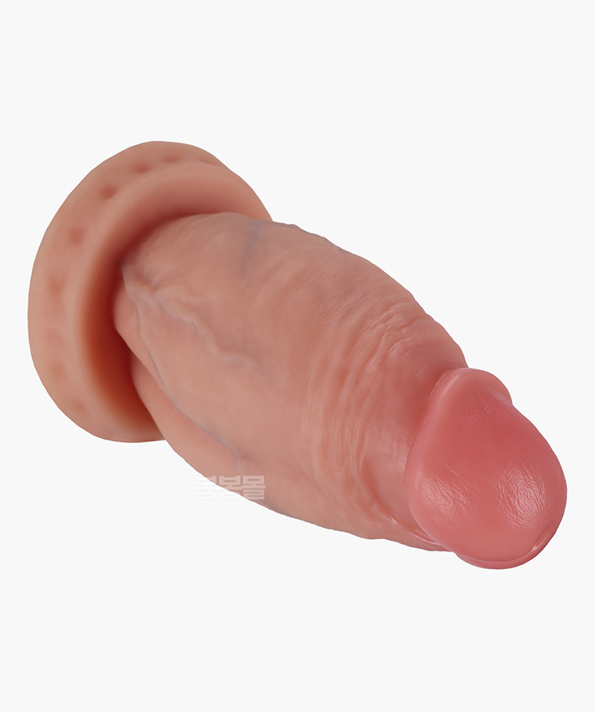 틱 페니스 애널 플러그