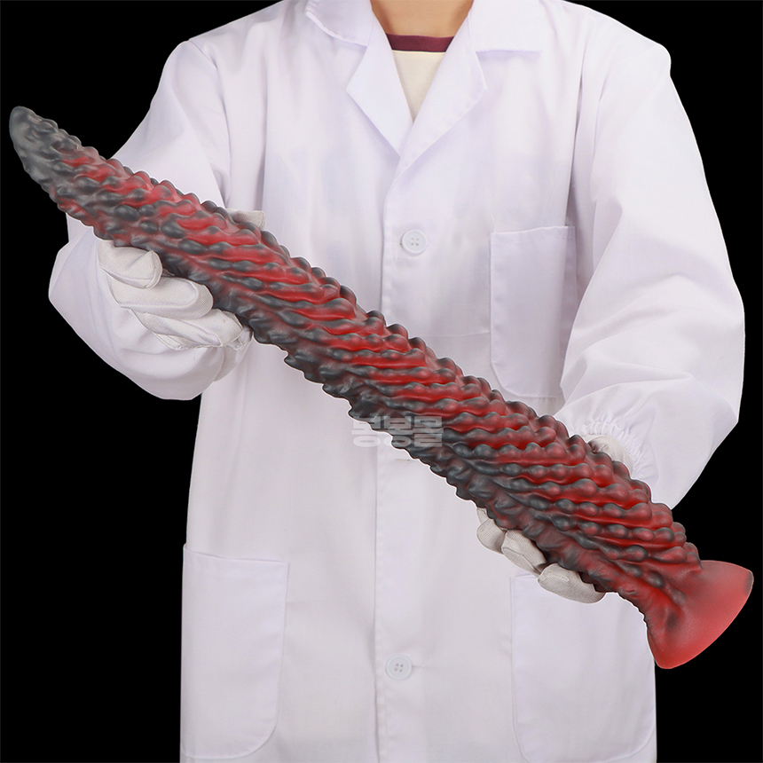 돌기 촉수 플러그