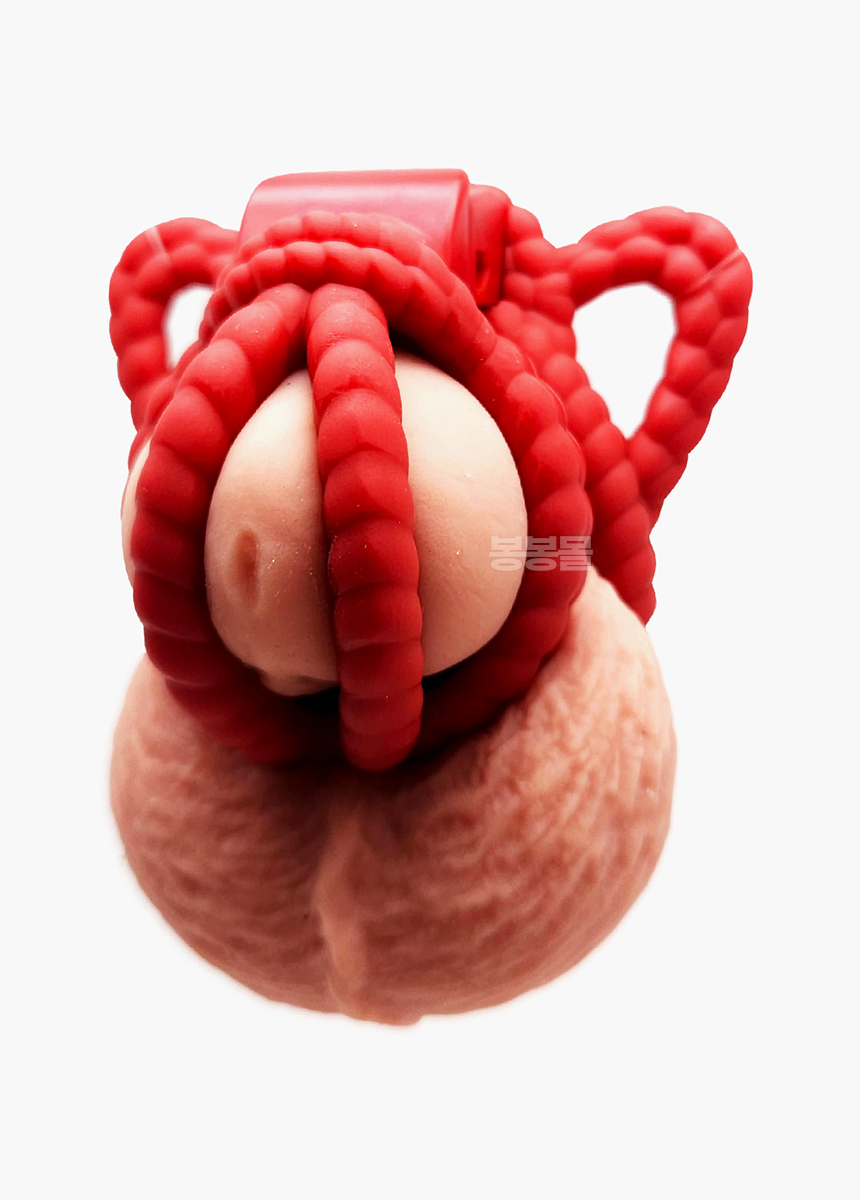로프 정조대