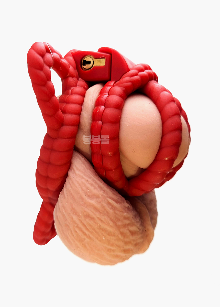로프 정조대