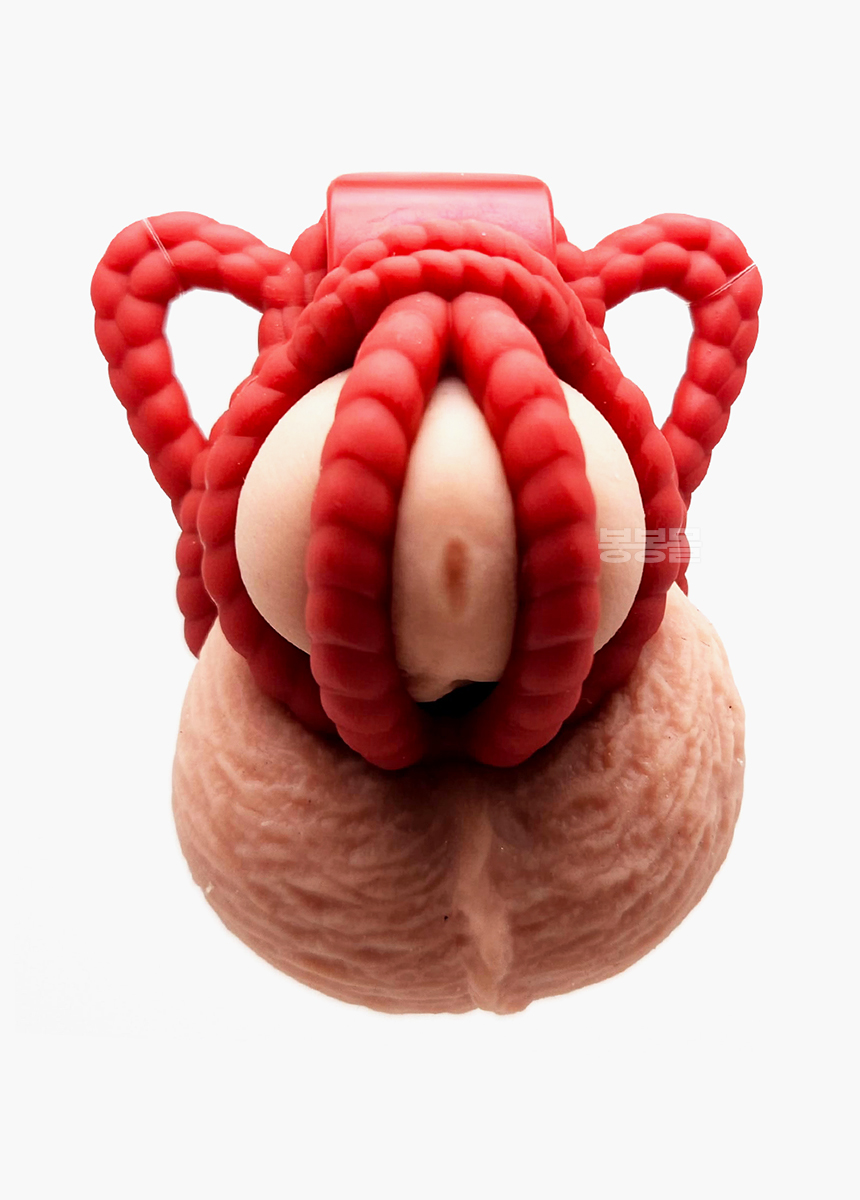 로프 정조대